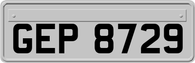GEP8729