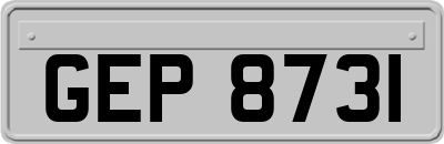 GEP8731
