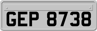 GEP8738