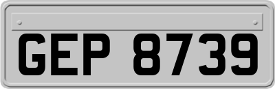 GEP8739