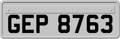 GEP8763