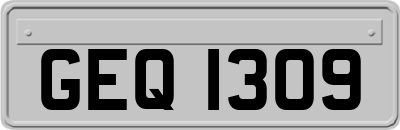 GEQ1309