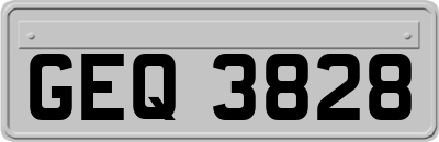 GEQ3828