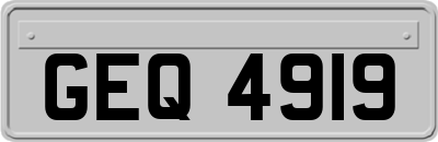 GEQ4919