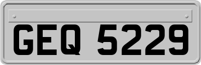 GEQ5229