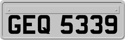 GEQ5339
