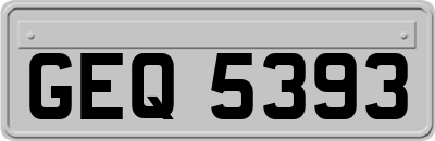 GEQ5393