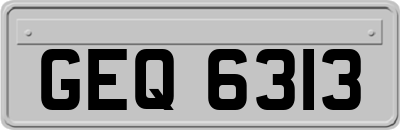 GEQ6313