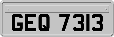 GEQ7313