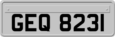 GEQ8231