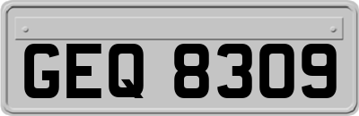 GEQ8309