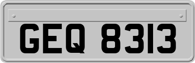 GEQ8313