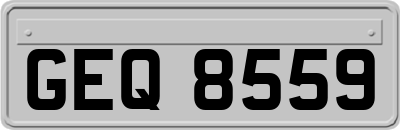 GEQ8559