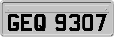 GEQ9307