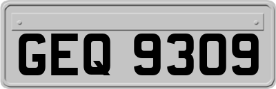 GEQ9309
