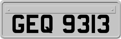 GEQ9313