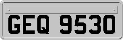 GEQ9530