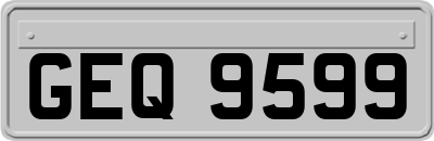 GEQ9599