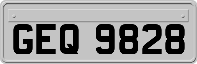 GEQ9828
