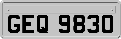 GEQ9830