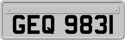 GEQ9831