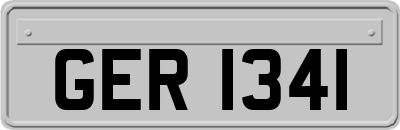 GER1341