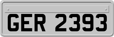 GER2393