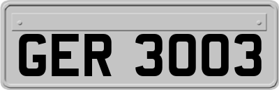 GER3003