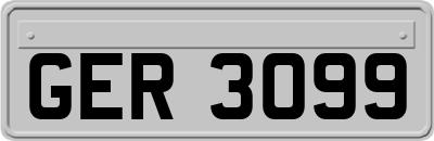 GER3099