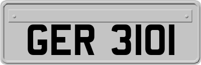 GER3101