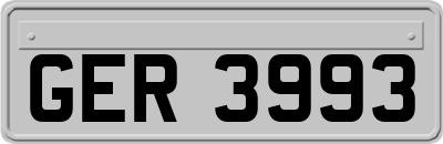 GER3993