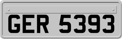 GER5393