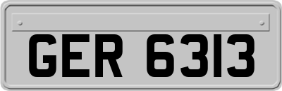 GER6313