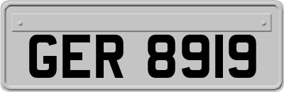 GER8919