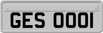 GES0001