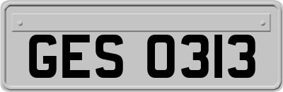 GES0313