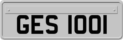 GES1001