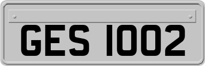 GES1002