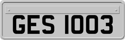 GES1003