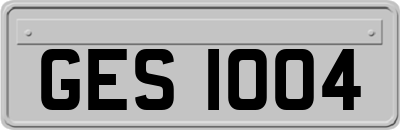 GES1004