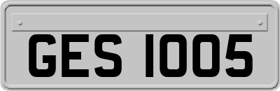 GES1005