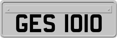 GES1010