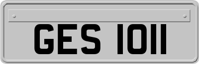 GES1011