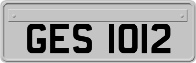 GES1012