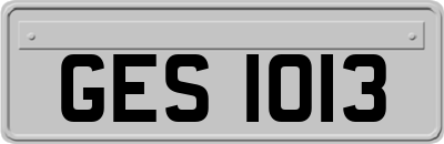 GES1013