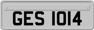 GES1014