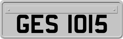 GES1015
