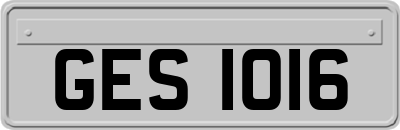 GES1016