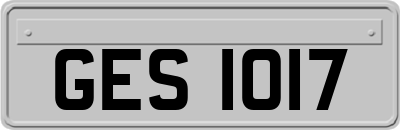 GES1017