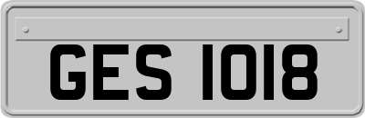 GES1018